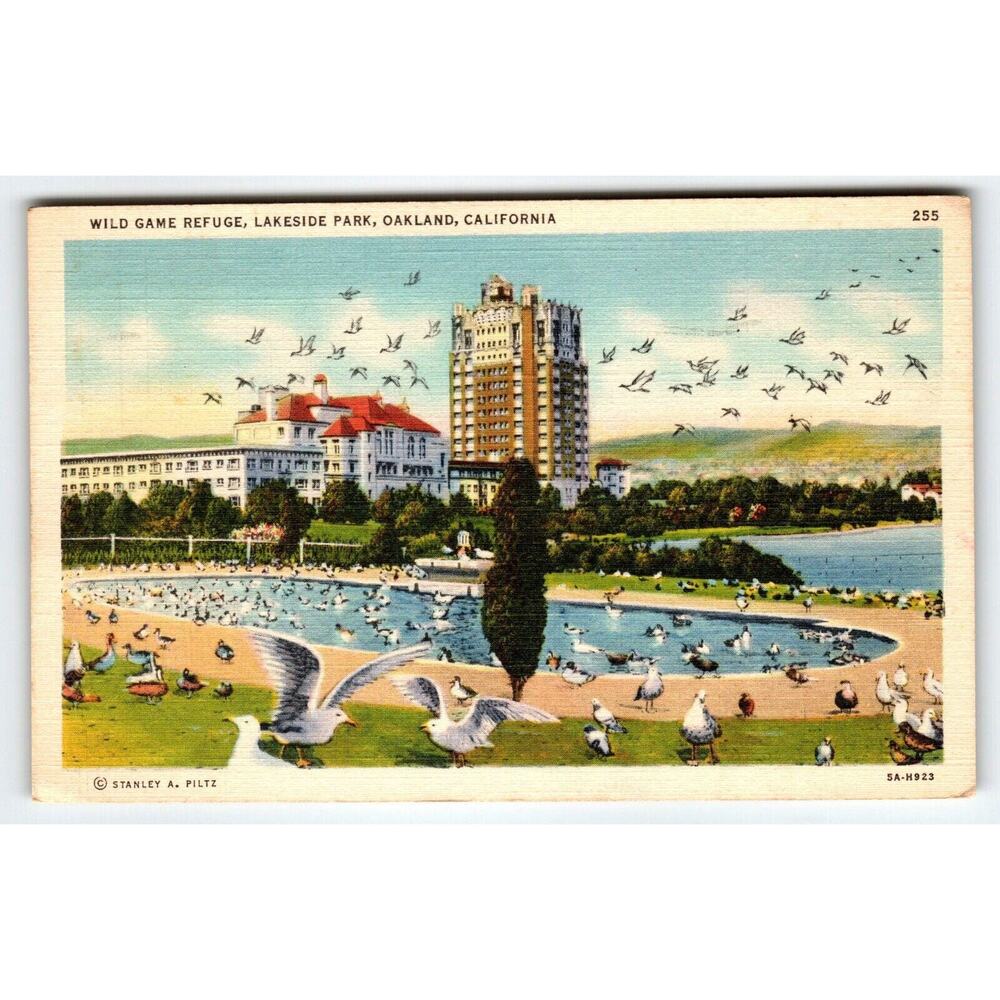 Wild Game Refuge Birds Lakeside Park Oakland California Linen Postcard 1938